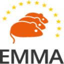 EMMA logo