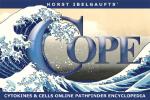 COPE Cytokines logo